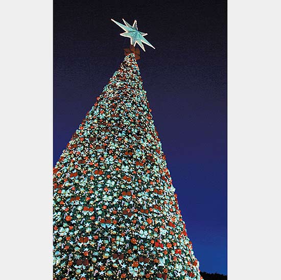 Na foto, árvore de Natal de 30 m de altura do Parque da Água Branca, que também oferece sessões de teatro