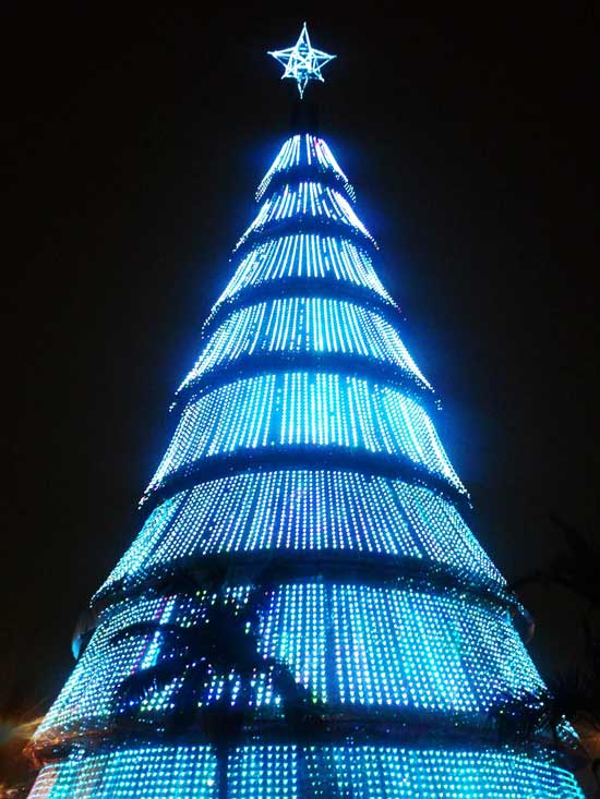 Foto da árvore de Natal do parque Ibirapuera, que será inaugurada no domingo (5)