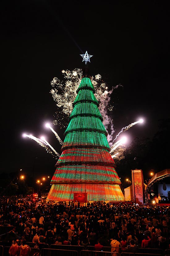 Árvore de Natal em frente ao parque Ibirapuera, em inauguração em 2010; luzes serão acesas no domingo (4)