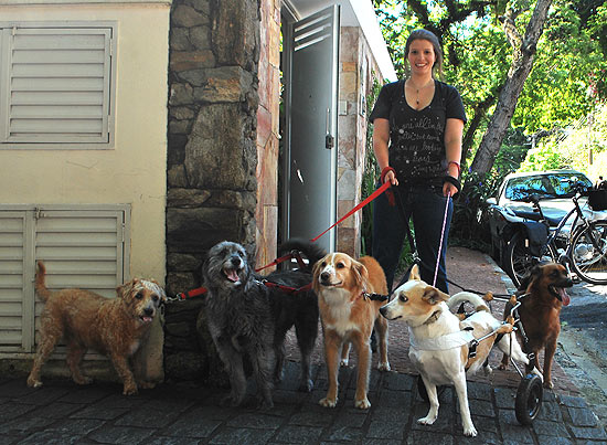 Julia Bobrow com seus cães; atriz indica parque, praça e restaurantes que aceitam cachorros