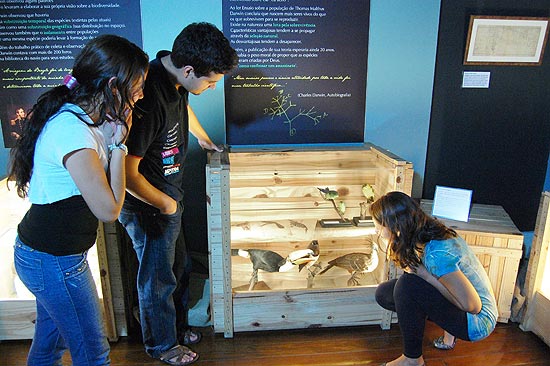 Até domingo (4/3), mostra "Darwin Para Todos" pode ser vista no museu de ciência e tecnologia Catavento 