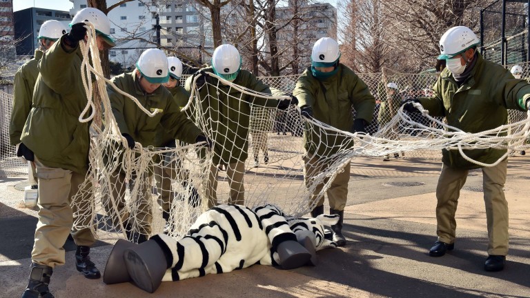 Homem fantasiado de zebra deitado no chão, cercado por seguranças