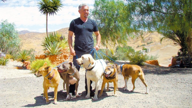 Cesar Millan e cinco cachorros