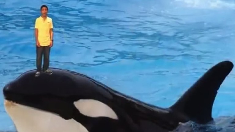 Frame do vídeo em que Nissim Ourfali aparece em cima de uma baleia