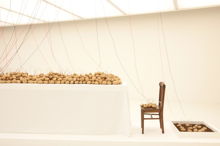Instalação com batatas de Víctor Grippo
