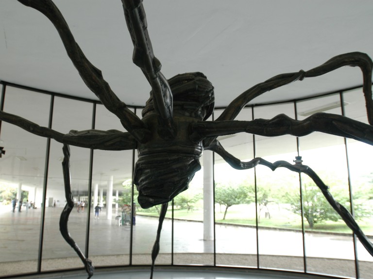 SÃO PAULO, SP, 04.01.2005: PARQUE-IBIRAPUERA - A escultura Aranha, de Louise Bourgeois, obra do acervo do MAM e instalada interior do museu, no Parque do Ibirapuera (Foto: Marcelo Ximenez/Folhapress) 