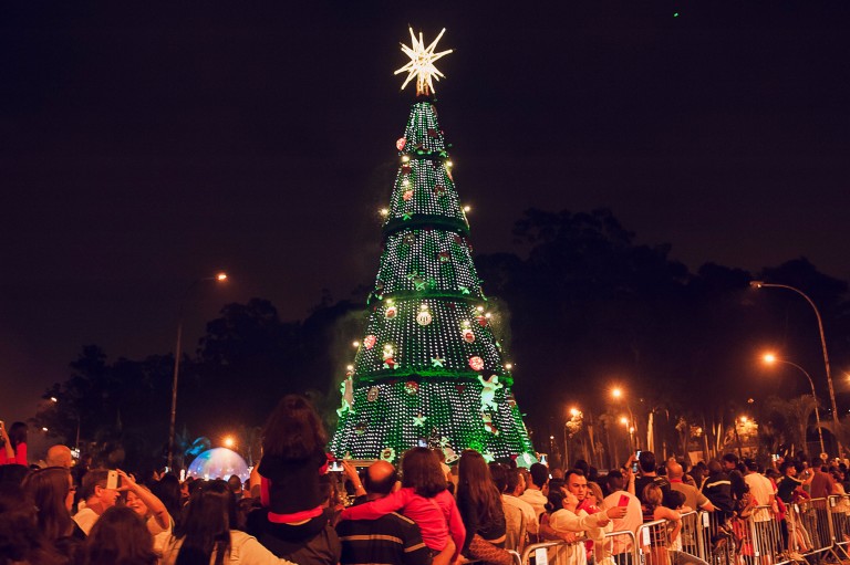 Árvore de Natal do parque Ibirapuera