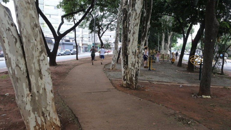 Legenda: SAO PAULO, SP, BRASIL, 5-3-2014 - VIGILANTE AGORA - 11:24:18 - O Agora faz Vigilante sobre as condicoes gerais das pistas de caminhadas em avenidas da periferia da cidade. A pista da avenida 