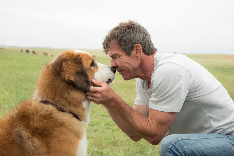 This image released by Universal Pictures shows Dennis Quaid with a dog, voiced by Josh Gad, in a scene from "A Dog's Purpose."  A spokesman for American Humane said Wednesday, Jan. 18, 2017 that it h