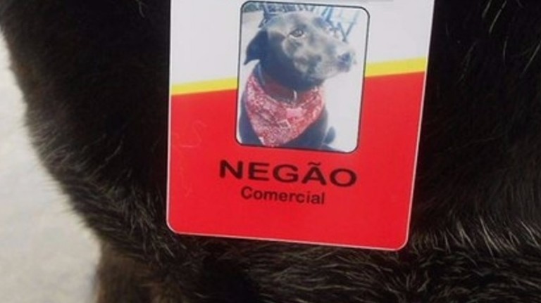 O cachorro Negão, 'funcionário' de um posto em Mogi das Cruzes