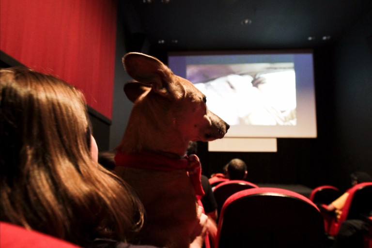 SÃO PAULO, SP, BRASIL, 18-05-2012, 17h: Cinema pra Cachorro: evento PraCachorro tem cinema para os donos e seus cães com filmes temáticos, no Matilha Cultural, em São Paulo (SP). (Foto: Adriano Vizoni