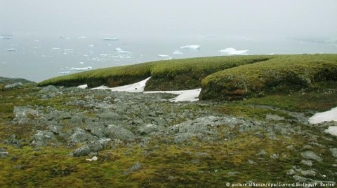 Temperatura média na Antártida subiu 0,5 grau Celsius por década desde os anos 1950