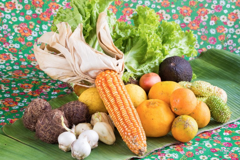 Alimentos orgânicos - Capa Guia Folha