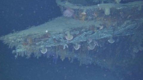 'Devorado' pelo mar, Titanic pode desaparecer em breve