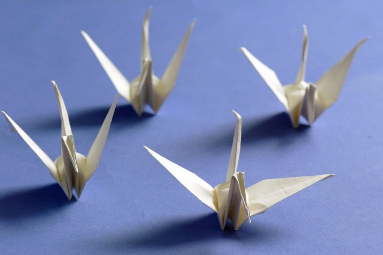 O curso básico de origami ensina a criar figuras como pássaros *** ****