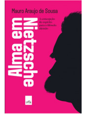 As concepções que Friedrich Nietzsche formulou acerca do que definimos por espírito