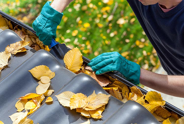 Man cleaning the gutter from autumn leaves ***DIREITOS RESERVADOS. NO PUBLICAR SEM AUTORIZAO DO DETENTOR DOS DIREITOS AUTORAIS E DE IMAGEM***