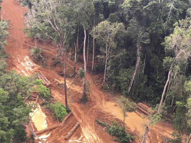 Pontos de extração ilegais e madeireiras clandestinas na Amazônia