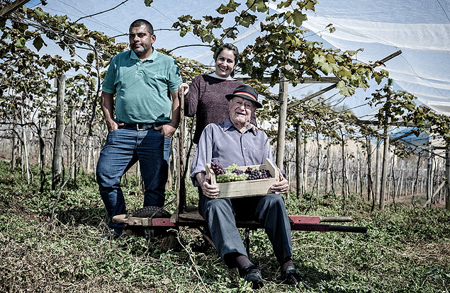 Raphael Sibinel, 86, Ricardo, 42, e Suely Sibinel, 38, produtores de vinhos e sucos, em Jundia (SP)