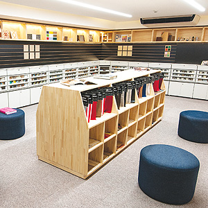 Faculdade Belas Artes cria biblioteca de materiais para consulta