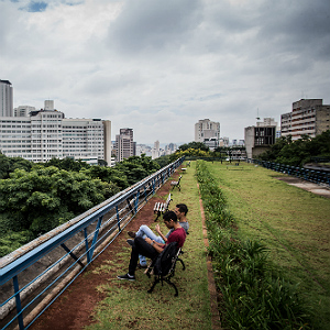 Veja cinco lugares para fazer um piquenique fora do Ibirapuera