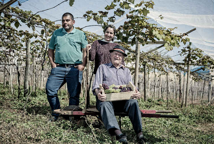 Em Jundia, descendentes de italianos mantm festas do vinho