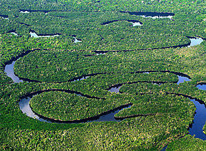 Vista aérea da floresta amazônica em 2007 