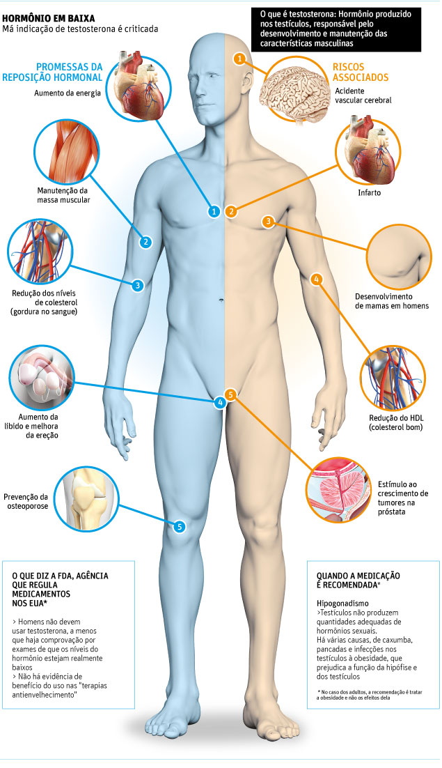 TESTOSTERONA: HOMOAFETIVIDADE: DA IMPORTÂNCIA DO OLHAR