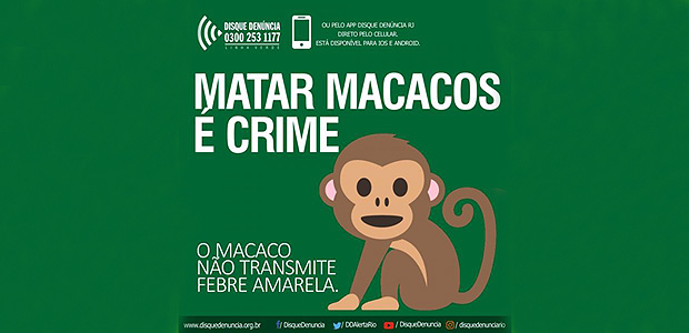 Disque Denúncia do RJ faz campanha contra maus-tratos a macacos