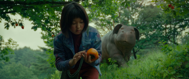 Resultado de imagem para okja