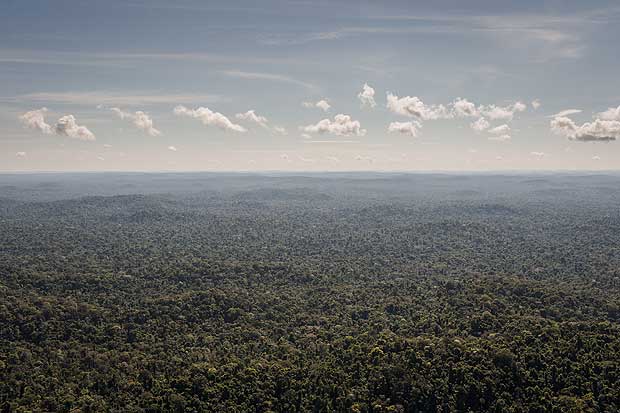 Vista aérea da Floresta Amazônica, em Novo Progresso, no Pará
