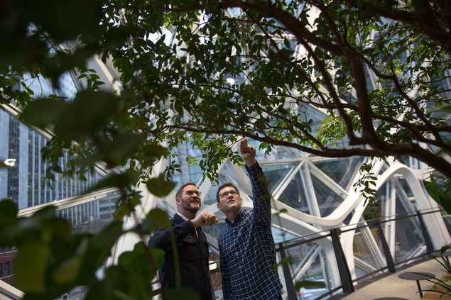 Executivos da Amazon veem plantas nas esferas, em Seattle