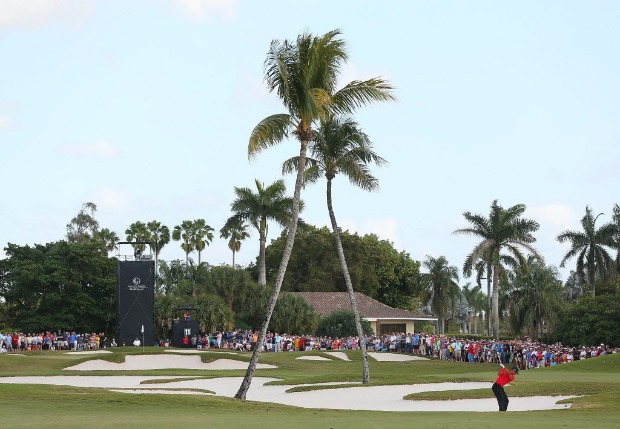 Tiger Woods se prepara para lançar a bola em campeonato de golfe em resort de Trump na Flórida