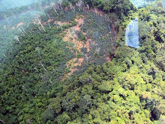 ONG Survival International divulgou fotos aéreas de uma tribo isolada de índios Yanomami, em Roraima