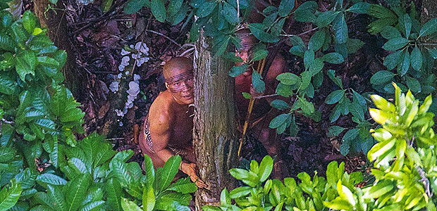 Fotógrafo faz registro raro de tribo isolada em floresta no Acre.Índios se assustam ao ver helicóptero sobrevoar área onde vivem isolados no Acre 
