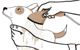 Veridiana Scarpelli/Folhapress