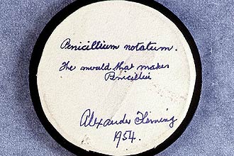 Vidro em que se acredita conter a original penicillum notatum, a partir da qual Alexander Fleming desenvolveu a penicilina