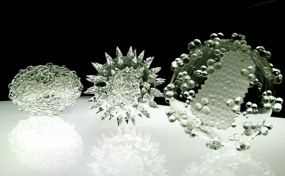 Varíola, mutação sem nome e vírus HIV