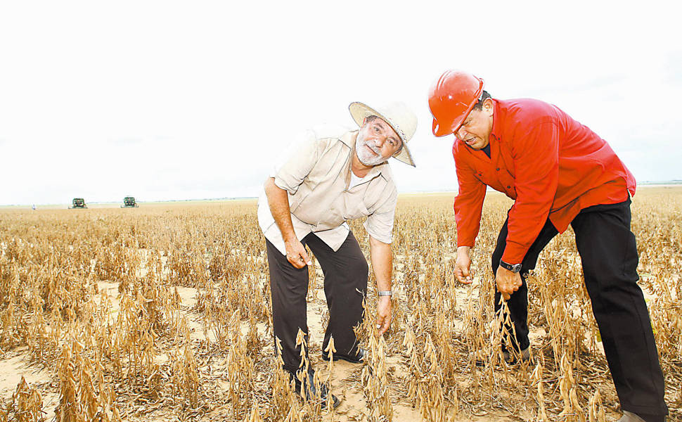 O presidente, Luiz Inácio Lula da Silva, e o presidente venezuelano, Hugo Chávez, durante visita à lavoura de soja do Projeto Agrário Integral Socialista José Inácio de Abreu e Lima, em El Tigre (Venezuela)