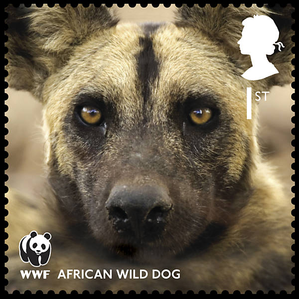 Série de selos com espécies ameaçadas comemora 50 anos da WWF