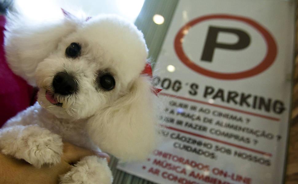 Estacionamento de cães no shopping Higienópolis (SP)