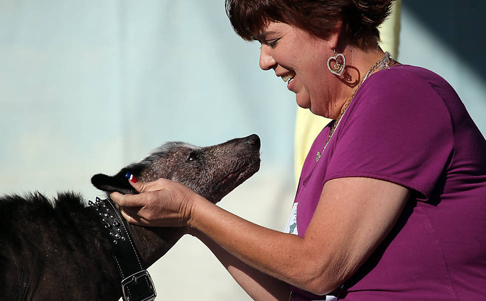 Concurso escolhe o cachorro mais feio do mundo