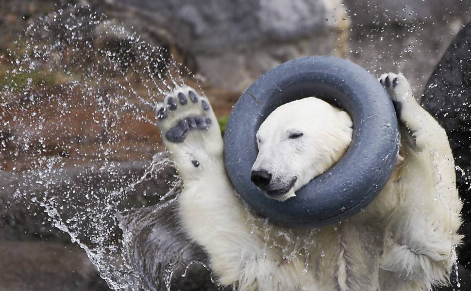 Zoológico no Canadá