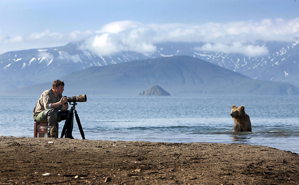 Fotógrafo se arrisca em busca de close-up de ursos
