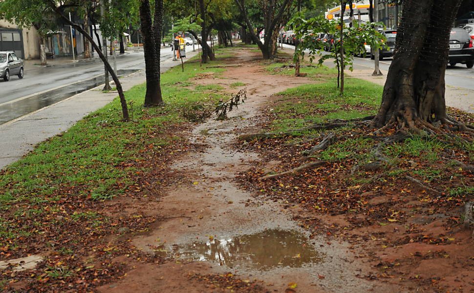 Canteiro central da Sumaré, na cidade de São Paulo