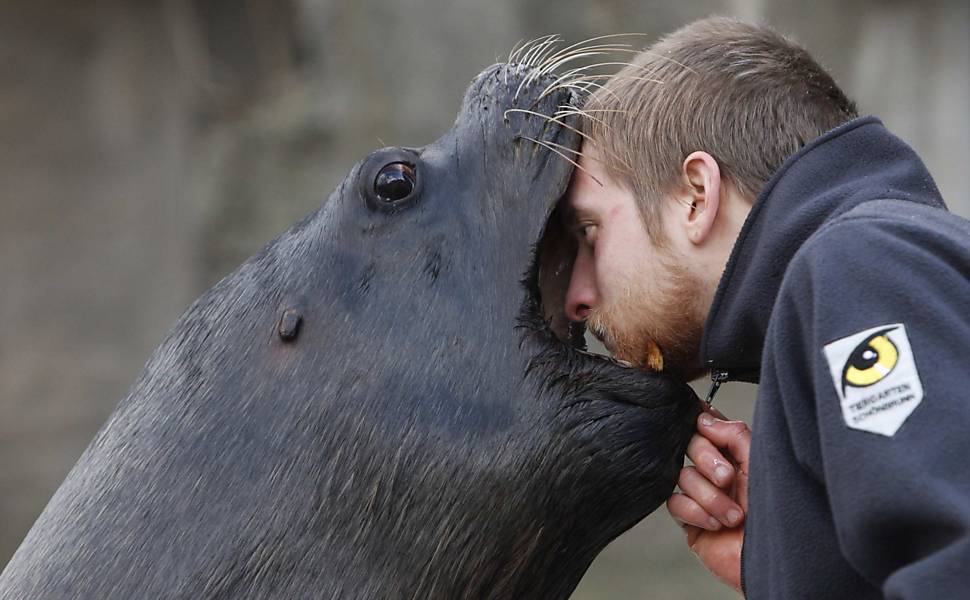 Zoológico de Viena