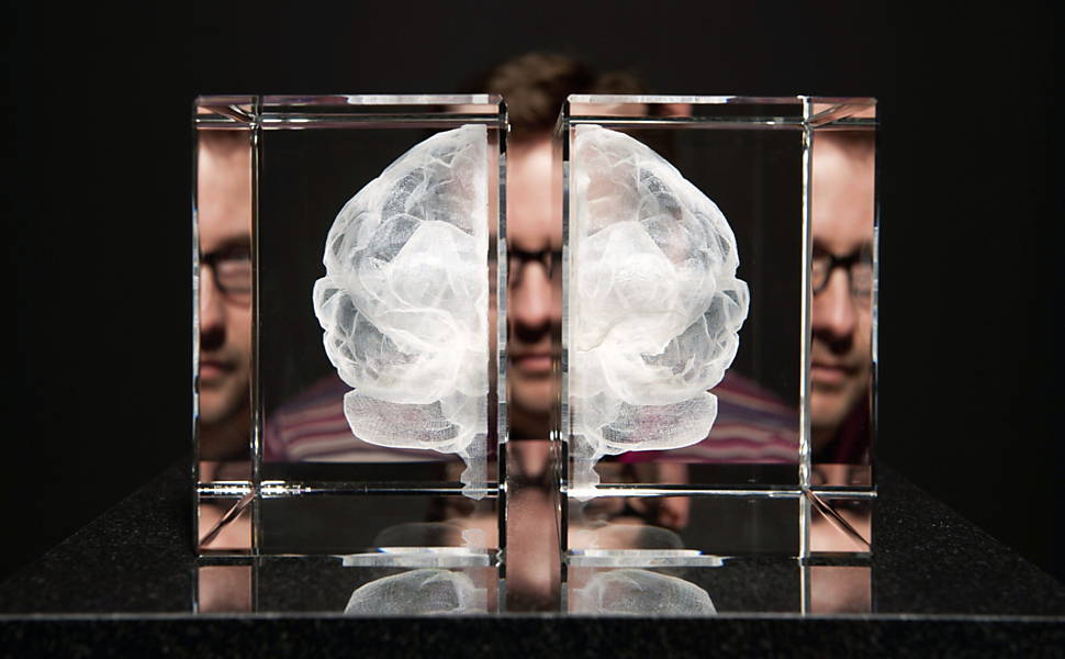 Homem observa obra em acrílico de artista, Katherine Dawson, que mostra divisão do cérebro humano