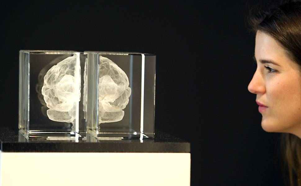 Londres abriga a exposição sobre o cérebro humano até junho