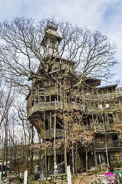 Americano constrói casa de árvore de dez andares