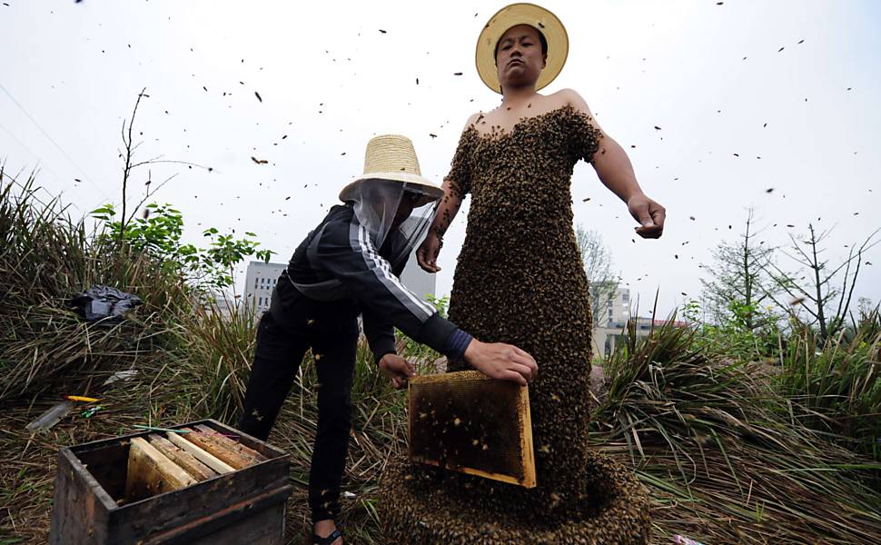 Agricultor chinês se cobre de abelhas
